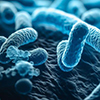 Legionella jest grona u ludzi z grup ryzyka, w tym u osb z cukrzyc