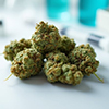 Dlaczego nie kada marihuana leczy? Rnice midzy rekreacyjn a medyczn