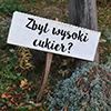 Ozempic w leczeniu otyoci - czy to przeom w walce z nadwag?