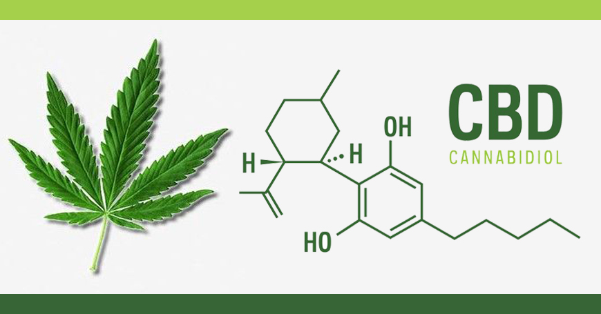 Jakie działanie wykazuje kannabidiol?