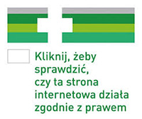 Sprzedaż leków w internecie - co warto wiedzieć?