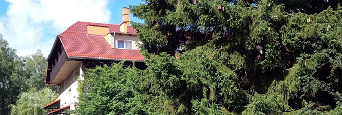 Jedź na kolonię z Wesołym Diabetykiem