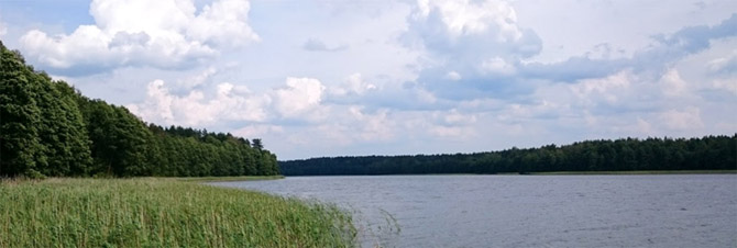 Jedź na kolonię z Wesołym Diabetykiem