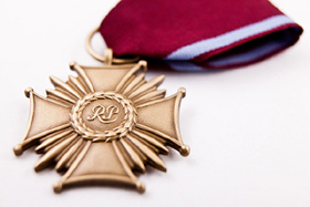Brązowy Krzyż Zasługi