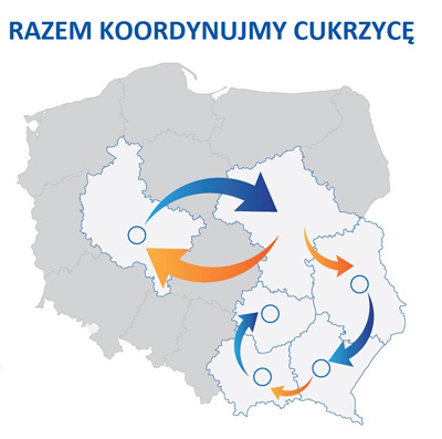 Razem koordynujmy cukrzycę: Zaproszenie na bezpłatne warsztaty