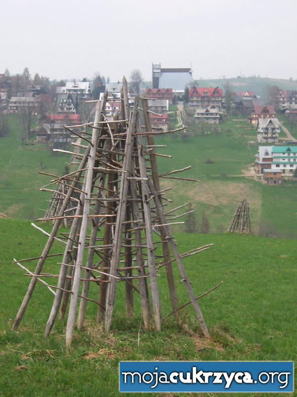 bukowina (14).jpg