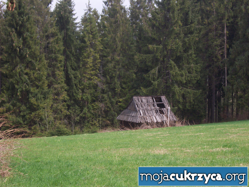 bukowina (9).jpg