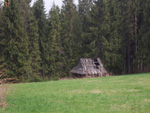 Link to full sized version of bukowina (9).jpg