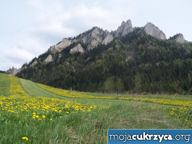 Niedzica_2007_0389.jpg