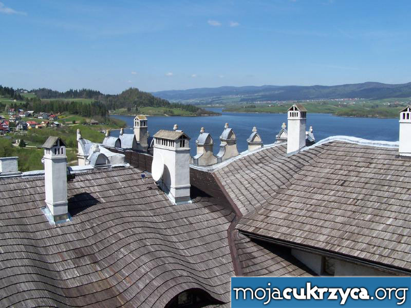Niedzica_2007_0991.jpg